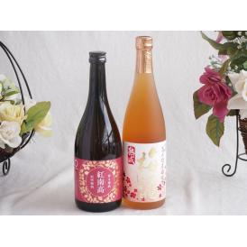 梅酒2本セット(香る南高　紅南高20度(和歌山) 高千穂産梅使用熟成梅酒) 720ml×2本