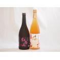 梅酒2本セット(紅南高梅酒20度(和歌山) 高千穂産梅使用熟成梅酒) 720ml×2本