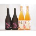梅酒4本セット(紅南高梅酒20度(和歌山) 高千穂産梅使用熟成梅酒) 720ml×4本