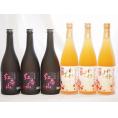 梅酒6本セット(紅南高梅酒20度(和歌山) 高千穂産梅使用熟成梅酒) 720ml×6本