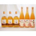 梅酒6本セット(加賀梅酒(石川県) 高千穂産梅使用熟成梅酒) 720ml×6本