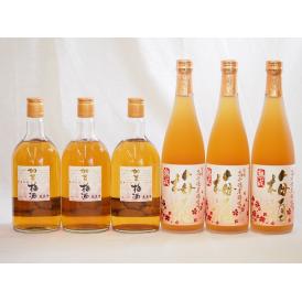 梅酒6本セット(加賀梅酒(石川県) 高千穂産梅使用熟成梅酒) 720ml×6本
