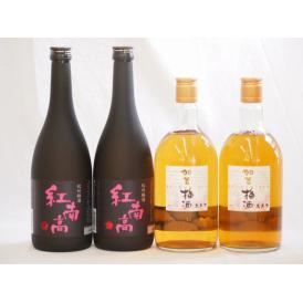 梅酒4本セット(加賀梅酒(石川県) 紅南高梅酒20度(和歌山)) 720ml×4本