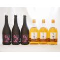 梅酒6本セット(加賀梅酒(石川県) 紅南高梅酒20度(和歌山)) 720ml×6本