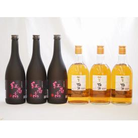 梅酒6本セット(加賀梅酒(石川県) 紅南高梅酒20度(和歌山)) 720ml×6本