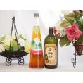 梅酒2本セット(貴梅酎スピリッツ25度(和歌山) 手作り梅酒(宮崎県)) 720ml×2本