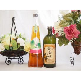 梅酒2本セット(貴梅酎スピリッツ25度(和歌山) 手作り梅酒(宮崎県)) 720ml×2本