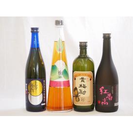 スペシャル梅酒4本セット(貴梅酎スピリッツ25度(和歌山) 紅南高梅酒20度(和歌山) 手作り梅酒(