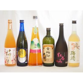 スペシャル梅酒6本セット(貴梅酎スピリッツ25度(和歌山) 紅南高梅酒20度(和歌山) 高千穂産梅使