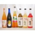 スペシャル梅酒6本セット(高千穂産梅使用熟成梅酒 手作り梅酒(宮崎県) 赤しそ赤い梅酒(和歌山) 芳