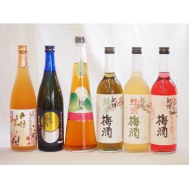 スペシャル梅酒6本セット(高千穂産梅使用熟成梅酒 手作り梅酒(宮崎県) 赤しそ赤い梅酒(和歌山) 芳