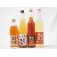 シリーズ梅酒4本セット(くちまろ梅酒(鹿児) 酒蔵のにごり梅酒(愛知) 梅花音梅酒(岩手) 八鹿の酒