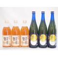 梅酒6本セット(八鹿の酒蔵で造った梅酒(大分) 無添加上等梅酒(鹿児島)) 500ml×3本 720