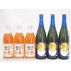 梅酒6本セット(八鹿の酒蔵で造った梅酒(大分) 無添加上等梅酒(鹿児島)) 500ml×3本 720