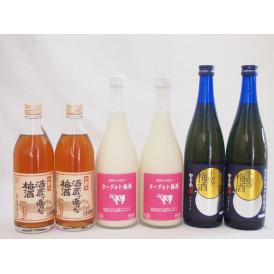 梅酒のみ比べ6本セット(ヨーグルト梅酒(福岡) 八鹿の酒蔵で造った梅酒(大分) 無添加上等梅酒(鹿児