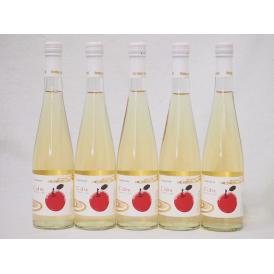 5本セット(cidreりんご発泡酒) 500ml×5本