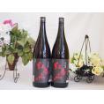 2本セット(紅南高梅酒20度(和歌山)) 1800ml×2本