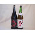 梅酒2本セット(紅南高梅酒20度(和歌山) 青梅使用小正の梅酒(鹿児島)) 1800ml×2本