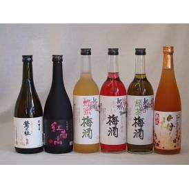 梅酒のみ比べ6本セット(紅南高梅酒20度(和歌山) 高千穂産梅使用熟成梅酒 赤しそ赤い梅酒(和歌山)