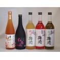 梅酒のみ比べ5本セット(紅南高梅酒20度(和歌山) 高千穂産梅使用熟成梅酒 赤しそ赤い梅酒(和歌山)