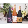 梅酒3本セット(古酒仕込み梅酒 紅南高梅酒20度(和歌山) 高千穂産梅使用熟成梅酒) 720ml×3