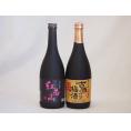 梅酒2本セット(古酒仕込み梅酒 紅南高梅酒20度(和歌山)) 720ml×2本