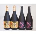梅酒4本セット(古酒仕込み梅酒 紅南高梅酒20度(和歌山)) 720ml×4本