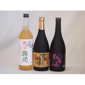 贅沢梅酒3本セット(古酒仕込み梅酒 紅南高梅酒20度(和歌山) 蜂蜜梅酒(和歌山)) 720ml×3