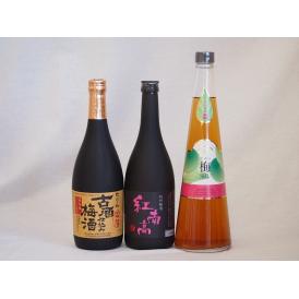 贅沢梅酒3本セット(古酒仕込み梅酒 紅南高梅酒20度(和歌山) 手作り梅酒(宮崎県)) 720ml×