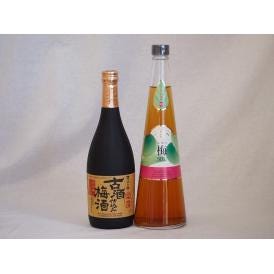 贅沢梅酒2本セット(古酒仕込み梅酒 手作り梅酒(宮崎県)) 720ml×2本
