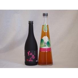 贅沢梅酒2本セット(紅南高梅酒20度(和歌山) 手作り梅酒(宮崎県)) 720ml×2本