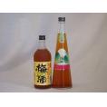 贅沢梅酒2本セット(芋焼酎仕込五代梅酒(鹿児島) 手作り梅酒(宮崎県)) 720ml×2本
