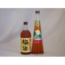 贅沢梅酒2本セット(芋焼酎仕込五代梅酒(鹿児島) 手作り梅酒(宮崎県)) 720ml×2本