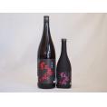 梅酒2本セット(紅南高梅酒20度(和歌山)) 720ml×1本 1800ml×1本