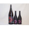 梅酒3本セット(紅南高梅酒20度(和歌山)) 720ml×2本 1800ml×1本
