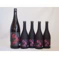 梅酒5本セット(紅南高梅酒20度(和歌山)) 720ml×4本 1800ml×1本
