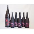 梅酒6本セット(紅南高梅酒20度(和歌山)) 720ml×5本 1800ml×1本