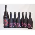梅酒7本セット(紅南高梅酒20度(和歌山)) 720ml×6本 1800ml×1本
