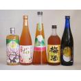 カラフル梅酒5本セット(芋焼酎仕込五代梅酒(鹿児島) 高千穂産梅使用熟成梅酒 手作り梅酒(宮崎県) 