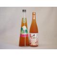 果物梅酒2本セット(高千穂産梅使用熟成梅酒 手作り梅酒(宮崎県)) 720ml×2本
