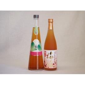 果物梅酒2本セット(高千穂産梅使用熟成梅酒 手作り梅酒(宮崎県)) 720ml×2本