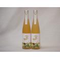 梅酒2本セット(金鯱梅酒) 500ml×2本