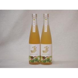 梅酒2本セット(金鯱梅酒) 500ml×2本