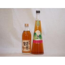 梅酒2本セット(手作り梅酒(宮崎県) 八鹿の酒蔵で造った梅酒(大分)) 720ml×1本 500ml