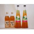 梅酒4本セット(手作り梅酒(宮崎県) 八鹿の酒蔵で造った梅酒(大分)) 720ml×2本 500ml