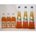 梅酒6本セット(手作り梅酒(宮崎県) 八鹿の酒蔵で造った梅酒(大分)) 720ml×3本 500ml