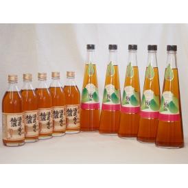 梅酒10本セット(手作り梅酒(宮崎県) 八鹿の酒蔵で造った梅酒(大分)) 720ml×5本 500m