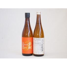 限定醸造2本セット(ひやおろし低温貯蔵完熟純米 金鯱 完熟ひやおろし本醸造) 720ml×2本