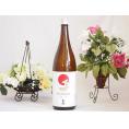 1本セット(金鯱酒造 極旨(愛知県)) 1800ml×1本