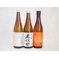 年に一度の豪華日本酒3本セット(ひやおろし低温貯蔵完熟純米 金鯱 完熟ひやおろし本醸造 久保田 百寿